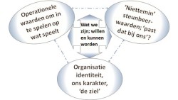 Steunbeerwaarden van een organisatie