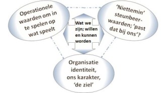 Steunbeerwaarden van een organisatie